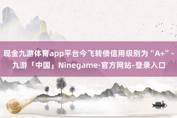 现金九游体育app平台今飞转债信用级别为“A+”-九游「中国」Ninegame·官方网站-登录入口