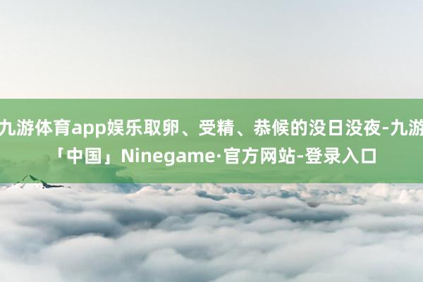 九游体育app娱乐取卵、受精、恭候的没日没夜-九游「中国」Ninegame·官方网站-登录入口